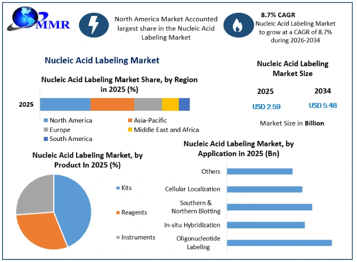 Nucleic Acid Labeling Market Growth