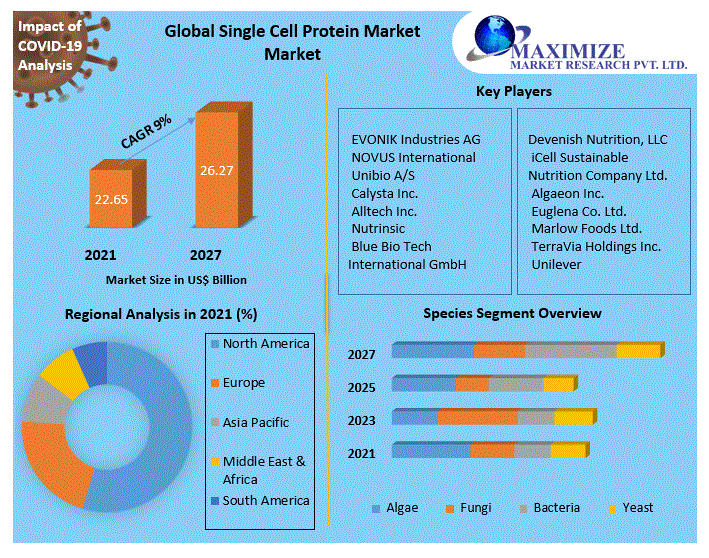 Single Cell Protein Market Market 