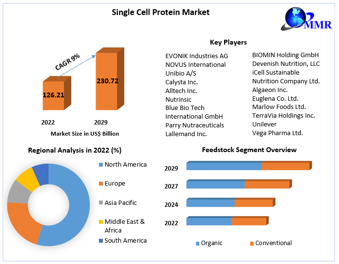 Single Cell Protein Market: Global Industry Analysis and Forecast -2029