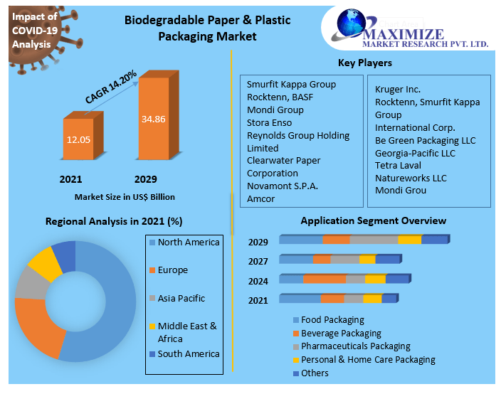 Biodegradable Paper & Plastic Packaging Market