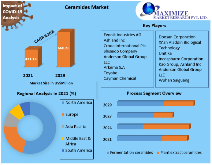 Ceramides Market- Global Industry Analysis and Forecast | 2029