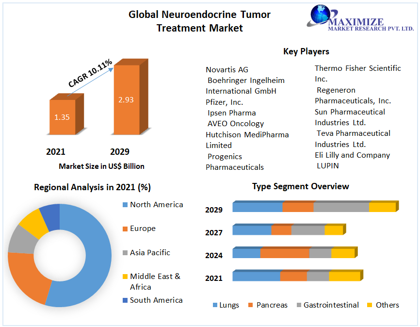 Global Neuroendocrine Tumor Treatment Market
