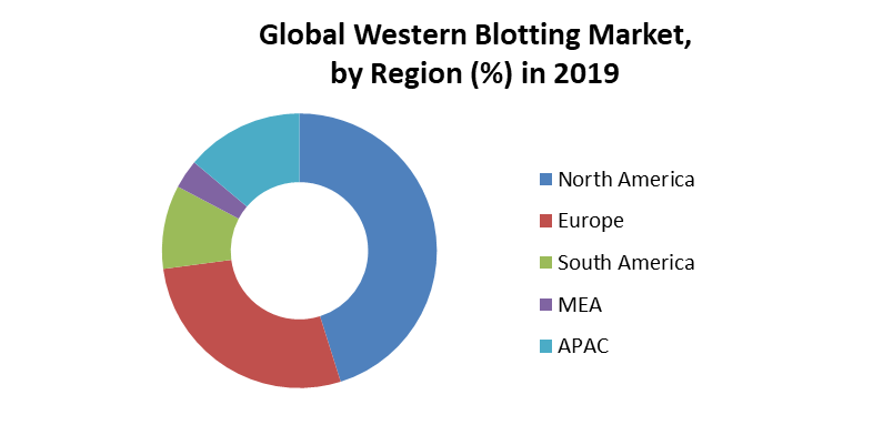Global Western Blotting Market