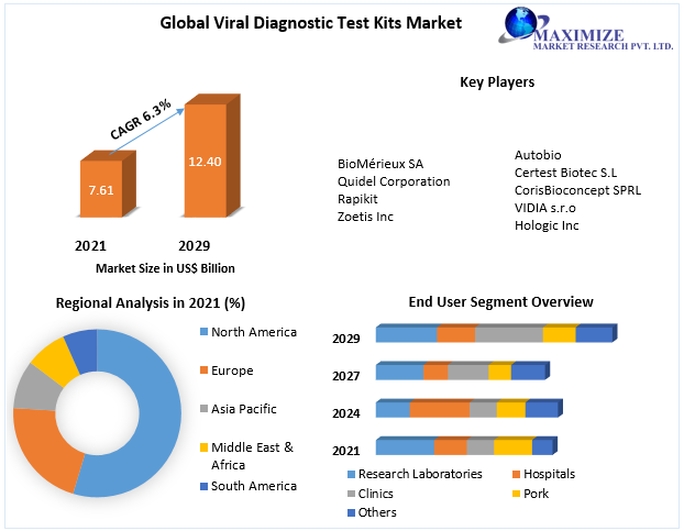 Viral Diagnostic Test Kits Market - Industry and Forecast (2022 -2029)