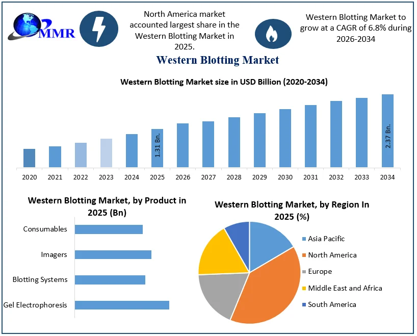 Western Blotting Market Growth