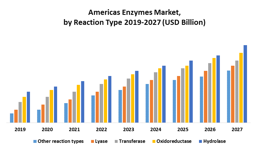 Americas Enzymes Market
