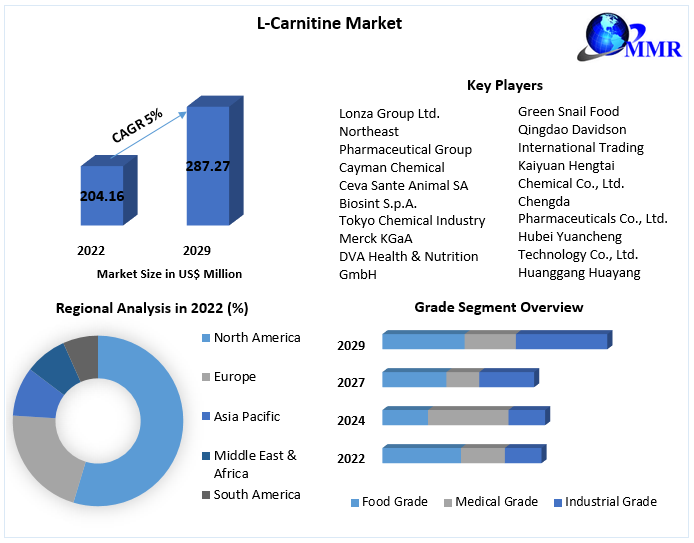 L-Carnitine Market