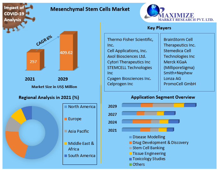 Mesenchymal Stem Cells Market- Global Analysis and Forecast 2029