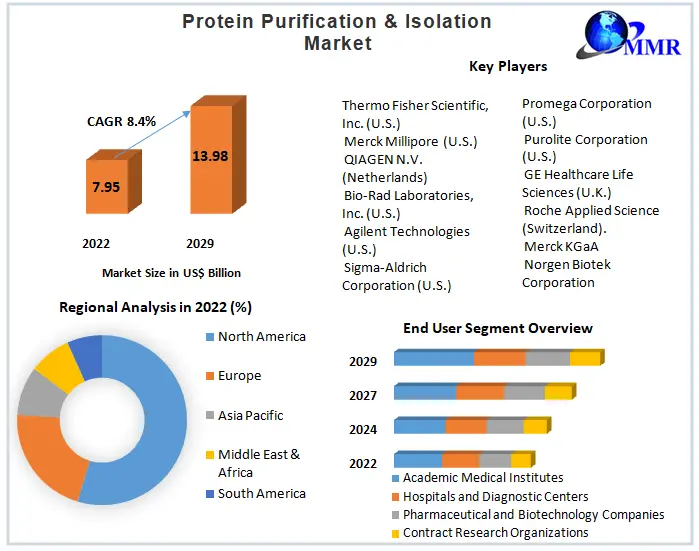 Protein Purification & Isolation Market: Industry Analysis 2029