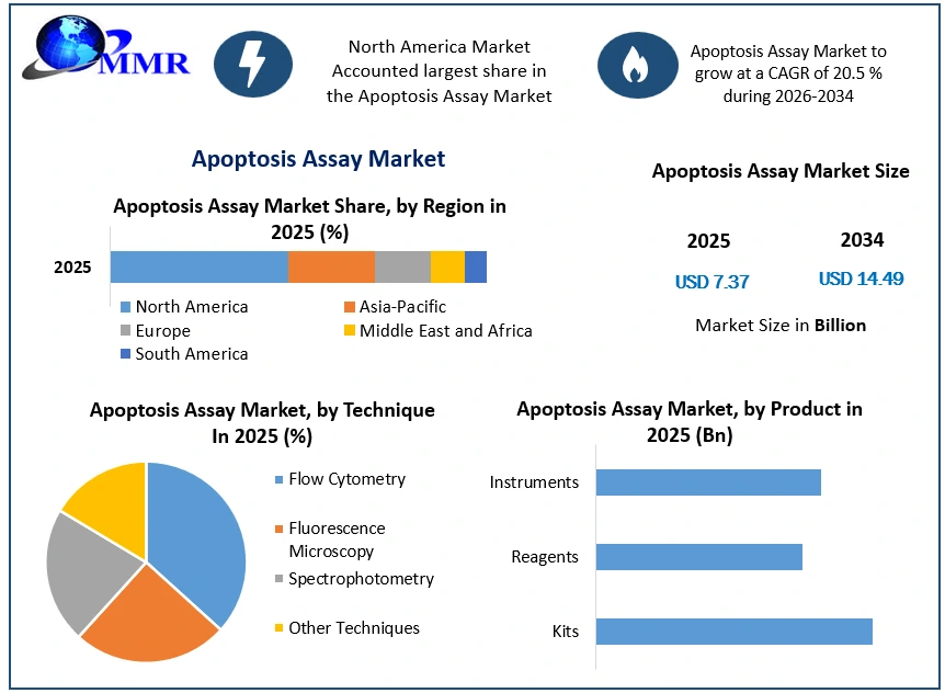 Apoptosis Assay Market Growth
