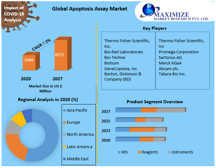 Global Apoptosis Assay Market