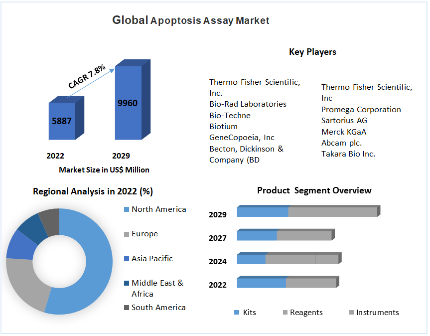 Global Apoptosis Assay Market