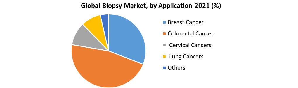 Global Biopsy Market