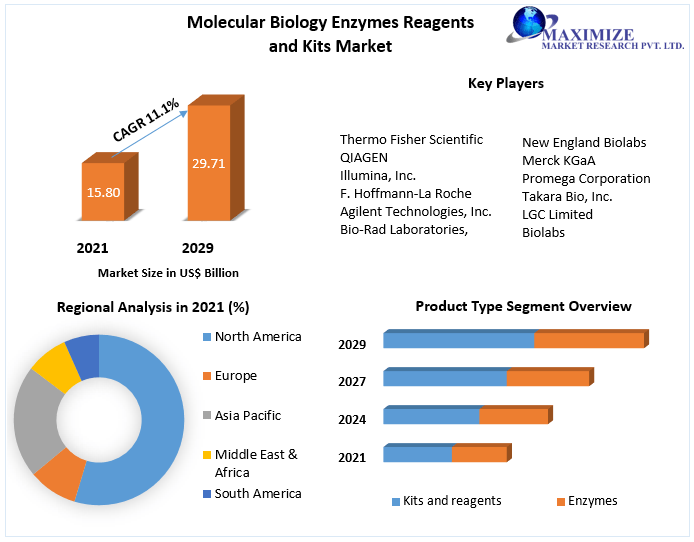 Molecular Biology Enzymes Reagents and Kits Market Industry Analysis