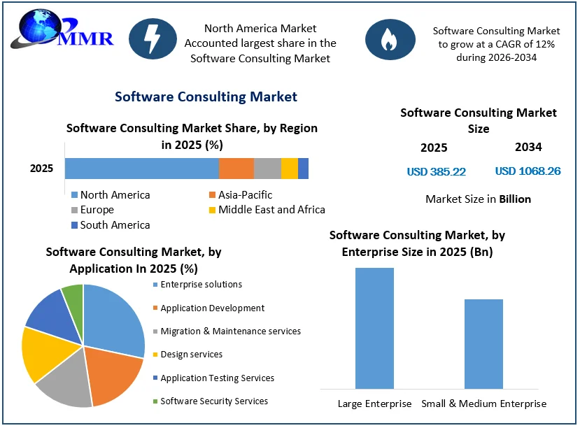 Software Consulting Market size