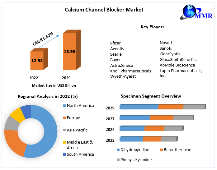 Calcium Channel Blocker Market-Global Industry Analysis and Forecast