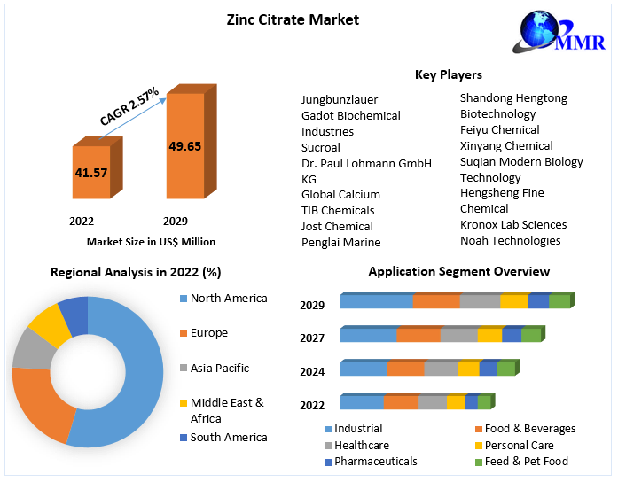 Zinc Citrate Market
