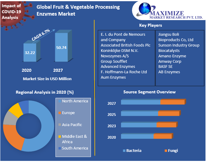 Global Fruit & Vegetable Processing Enzymes Market Industry Analysis