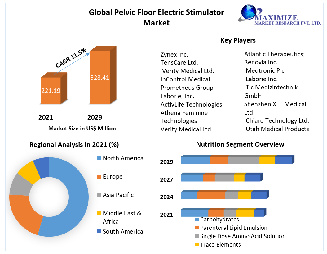 Pelvic Floor Electric Stimulator Market: Global Forecast (2022-2029)
