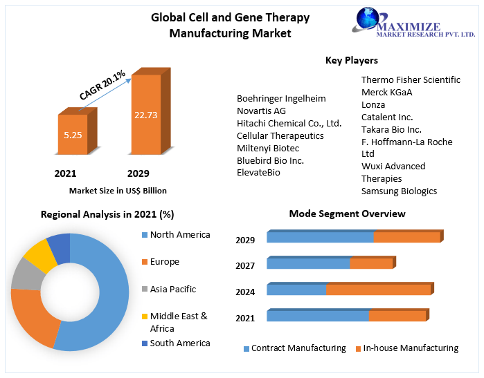Cell and Gene Therapy Manufacturing Market - Industry Analysis 2029