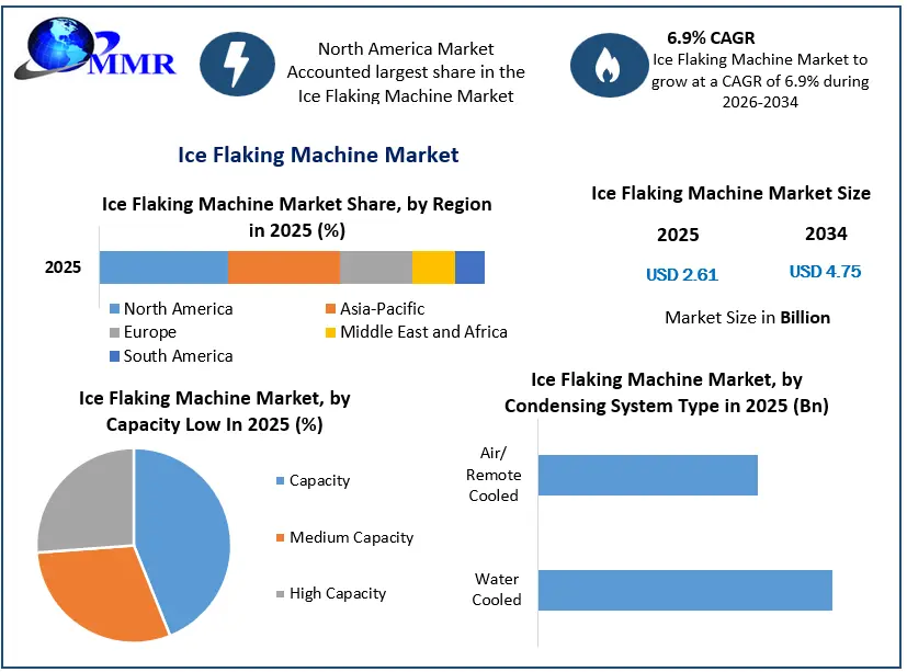 Ice Flaking Machine Market Growth