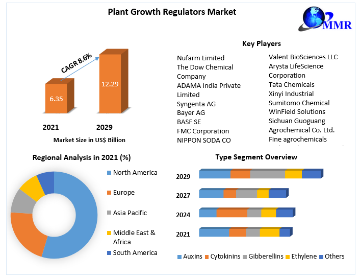 Plant Growth Regulators Market: Opportunities, Trends (2022-2029)