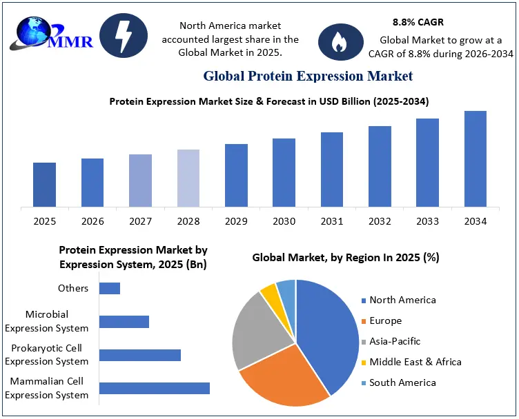 Protein Expression Market Growth