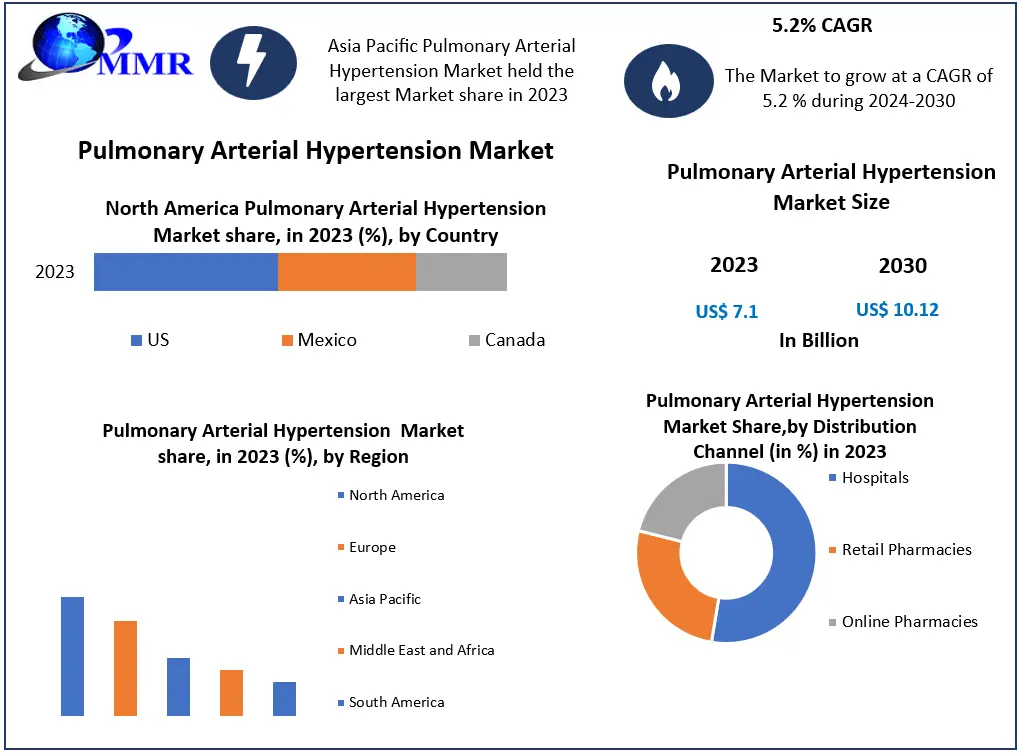 Pulmonary Arterial Hypertension Market 