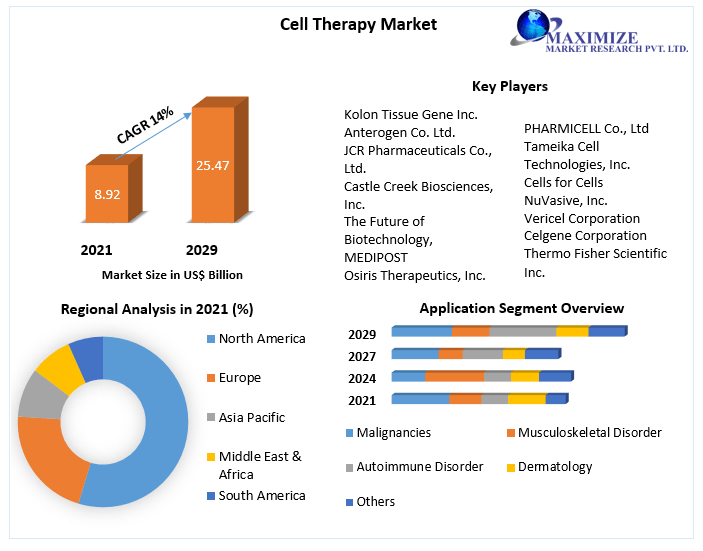 Cell Therapy Market  Future Scope, Revenue and Forecast 2029