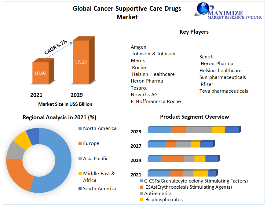 Cancer Supportive Care Drugs Market: Global Industry Analysis 2029