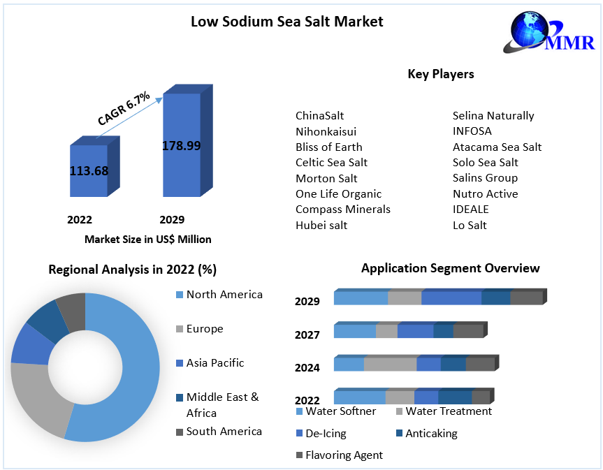 Low Sodium Sea Salt Market