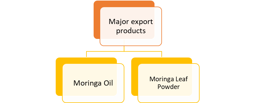 Moringa Supplement Market 2