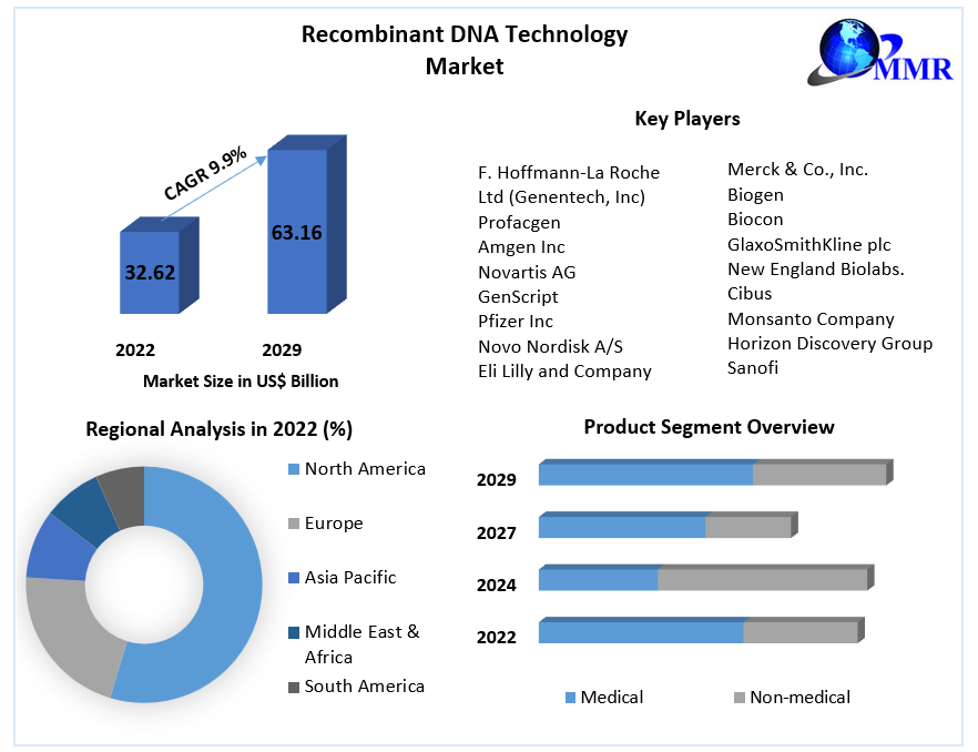 Recombinant DNA Technology Market: Global Industry Analysis 2029