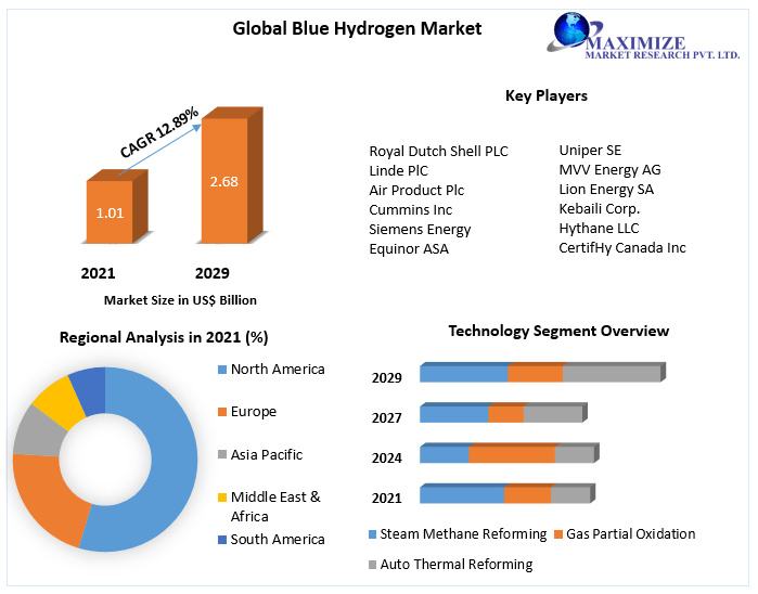 Blue Hydrogen Market - Global Industry Analysis and Forecast (2022-2029)