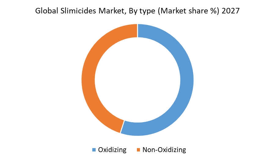 Global Slimicides Market 