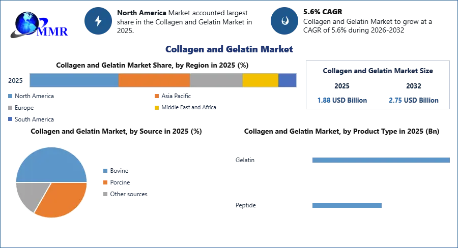 Collagen and Gelatin Market 