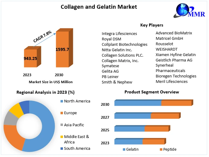 Collagen and Gelatin Market