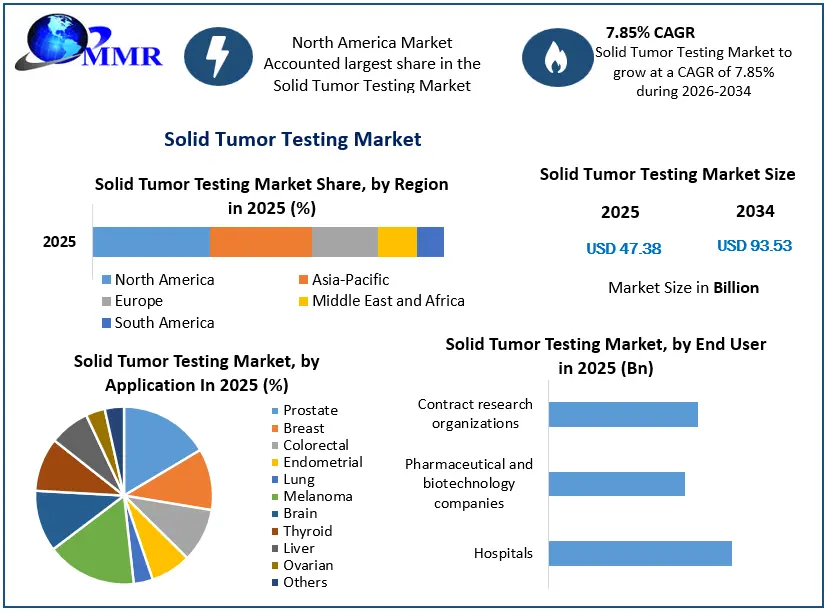 Solid Tumor Testing Market Growth