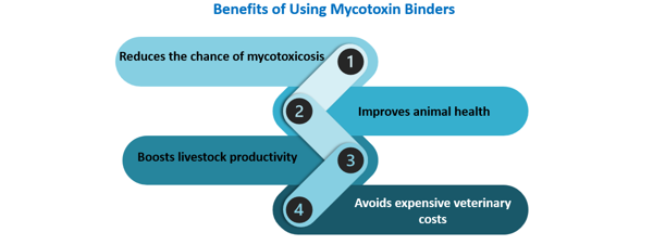 Feed Mycotoxin Binders Market 1