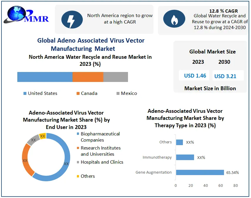 Adeno Associated Virus Vector Manufacturing Market