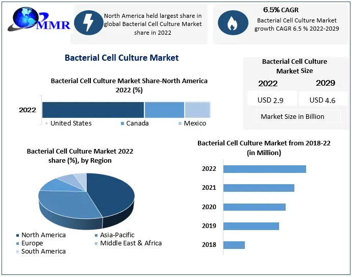 Bacterial Cell Culture Market