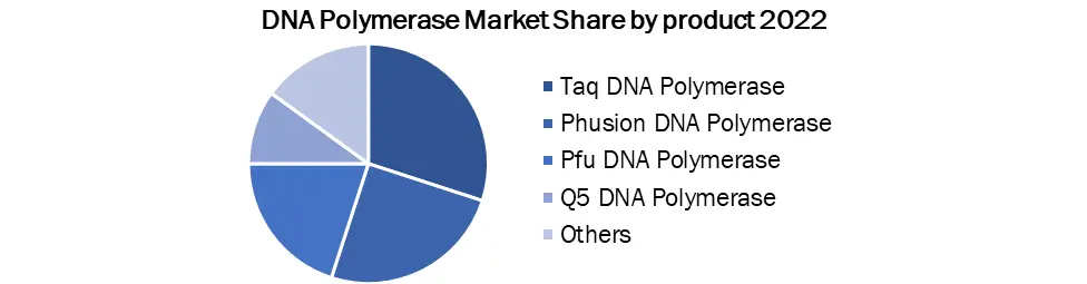 DNA Polymerase Market2