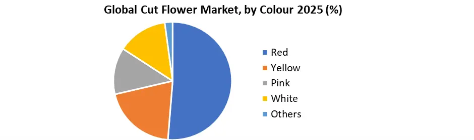 Global Cut Flower Market by Colour