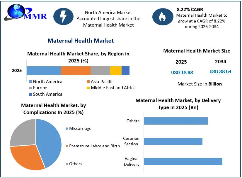 Maternal Health Market Growth