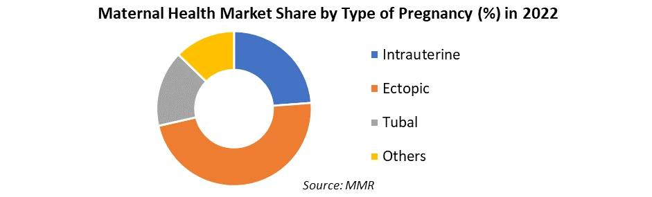 Maternal Health Market2