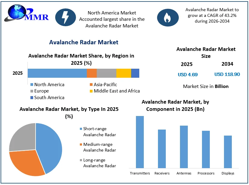 Avalanche Radar Market size