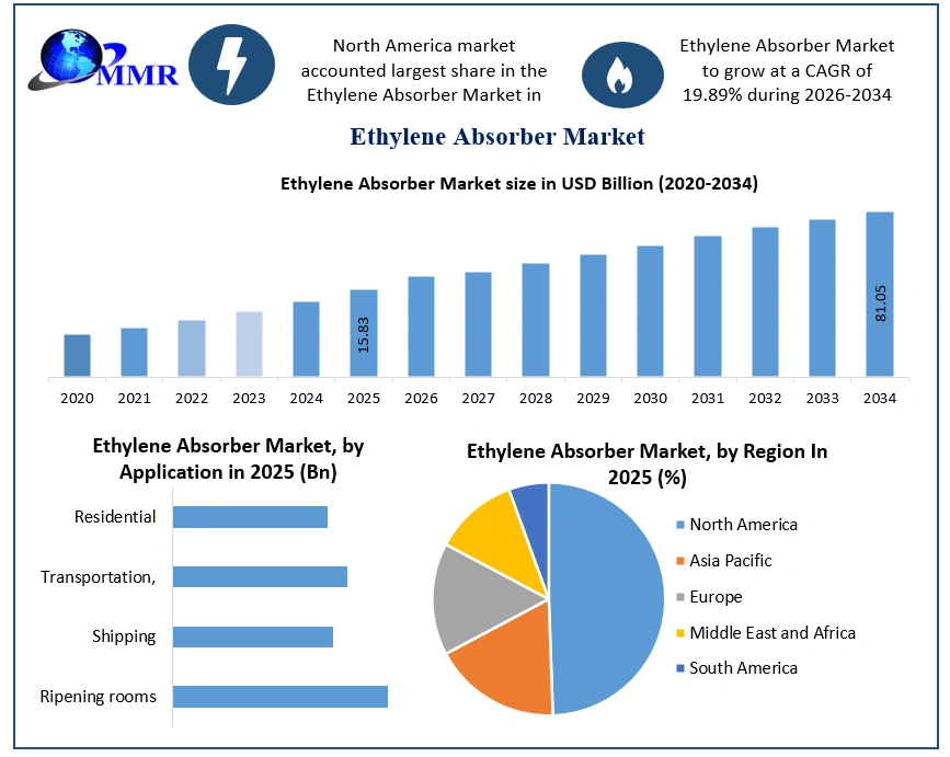 Ethylene Absorber Market Growth (1)