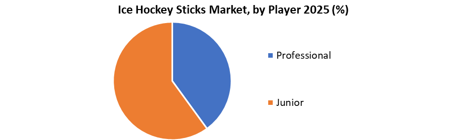 Ice Hockey Sticks Market by Player