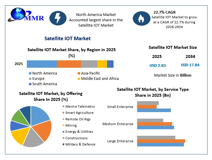 Satellite IoT Market Growth