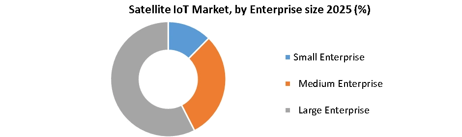 Satellite IoT Market, by Enterprise